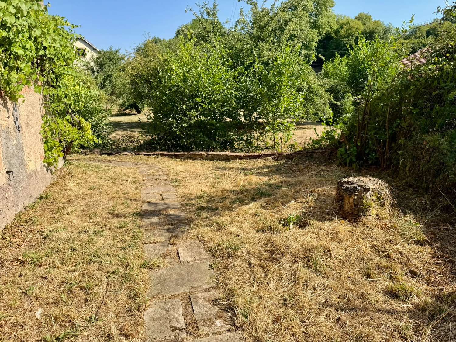 à vendre maison Citers Haute-Saône 6