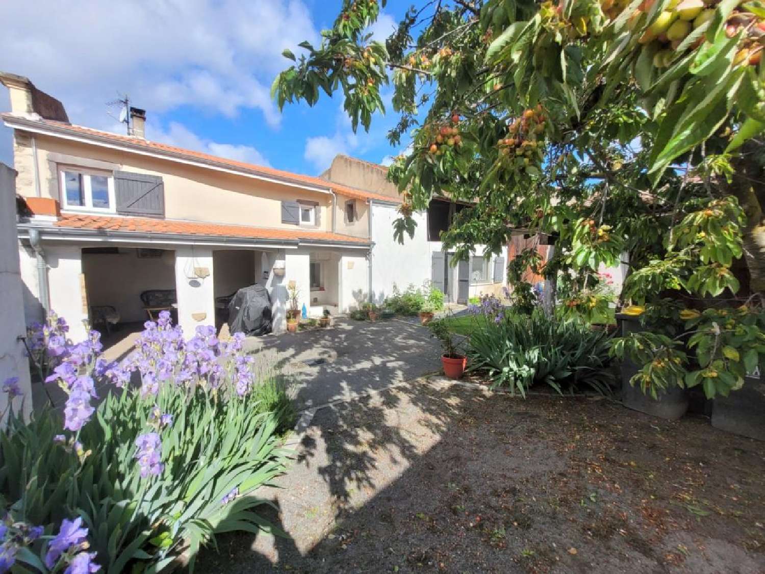  te koop huis Clerlande Puy-de-Dôme 1