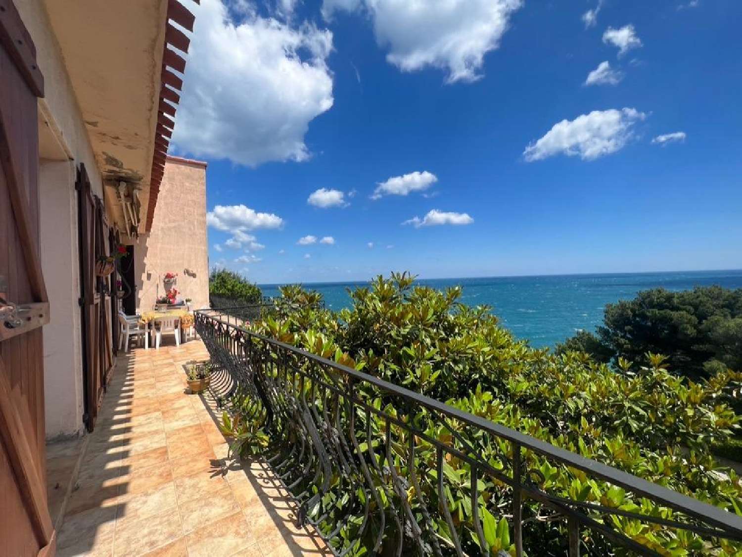  à vendre maison Collioure Pyrénées-Orientales 6