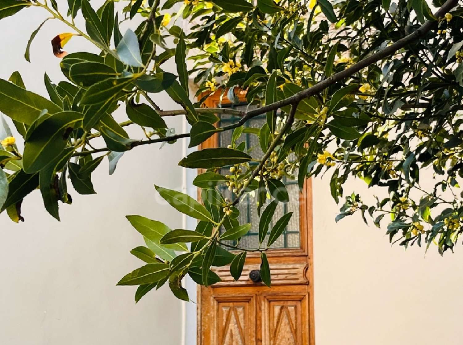 à vendre maison Colombes Hauts-de-Seine 3