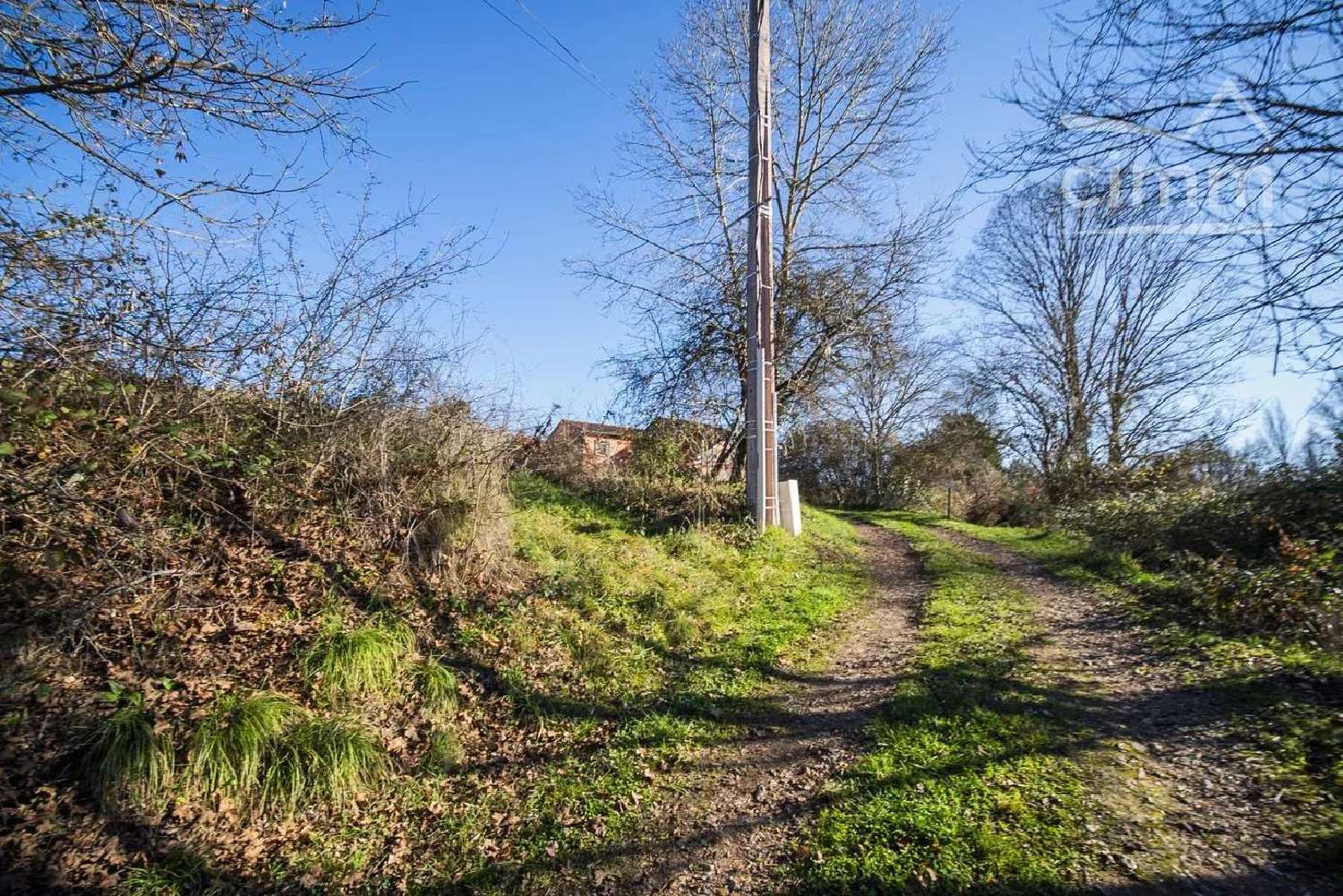  te koop huis Cordes-Sur-Ciel Tarn 3