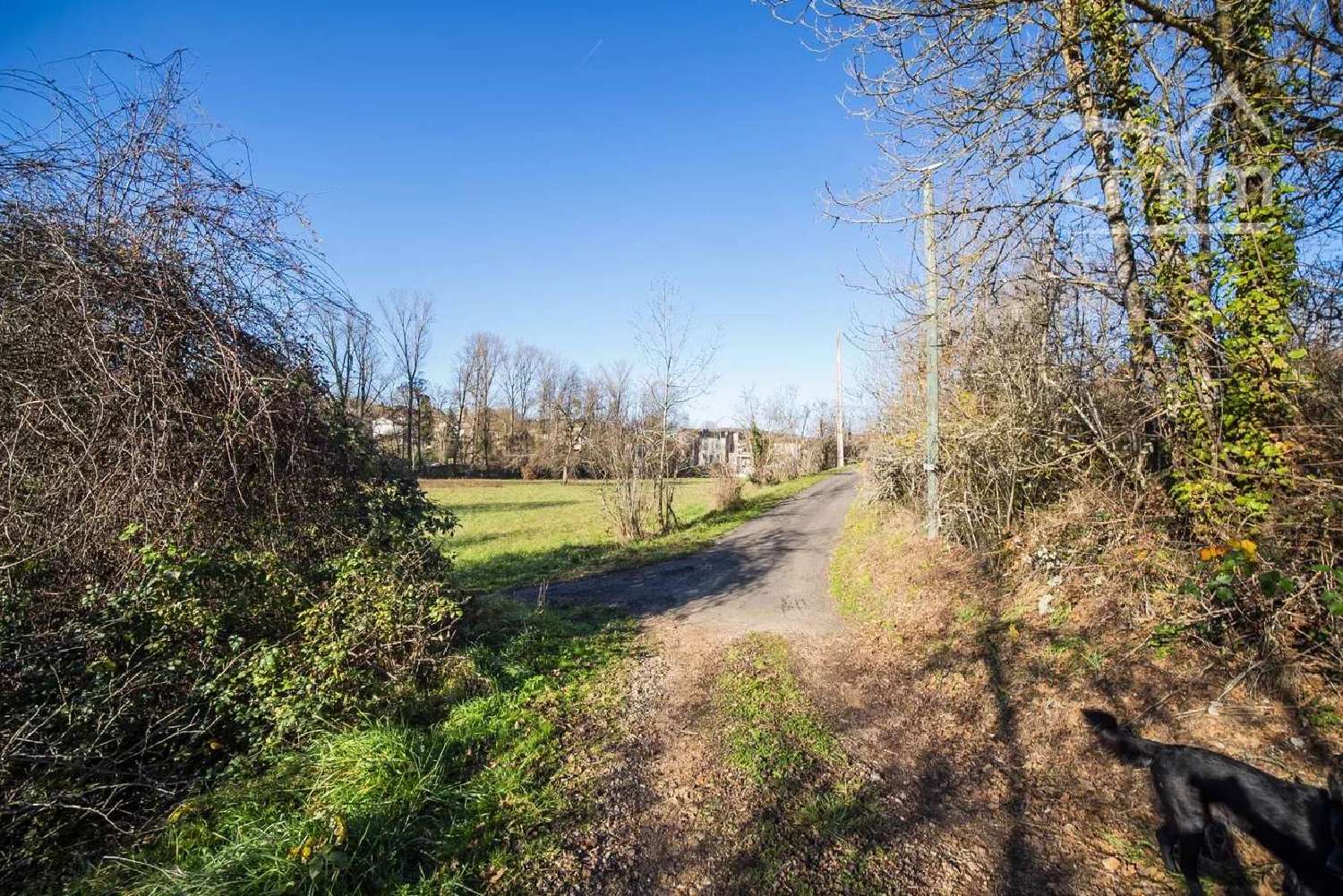  te koop huis Cordes-Sur-Ciel Tarn 7
