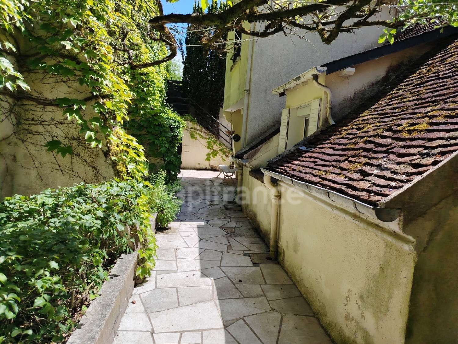 kaufen Haus Cravant Yonne 4