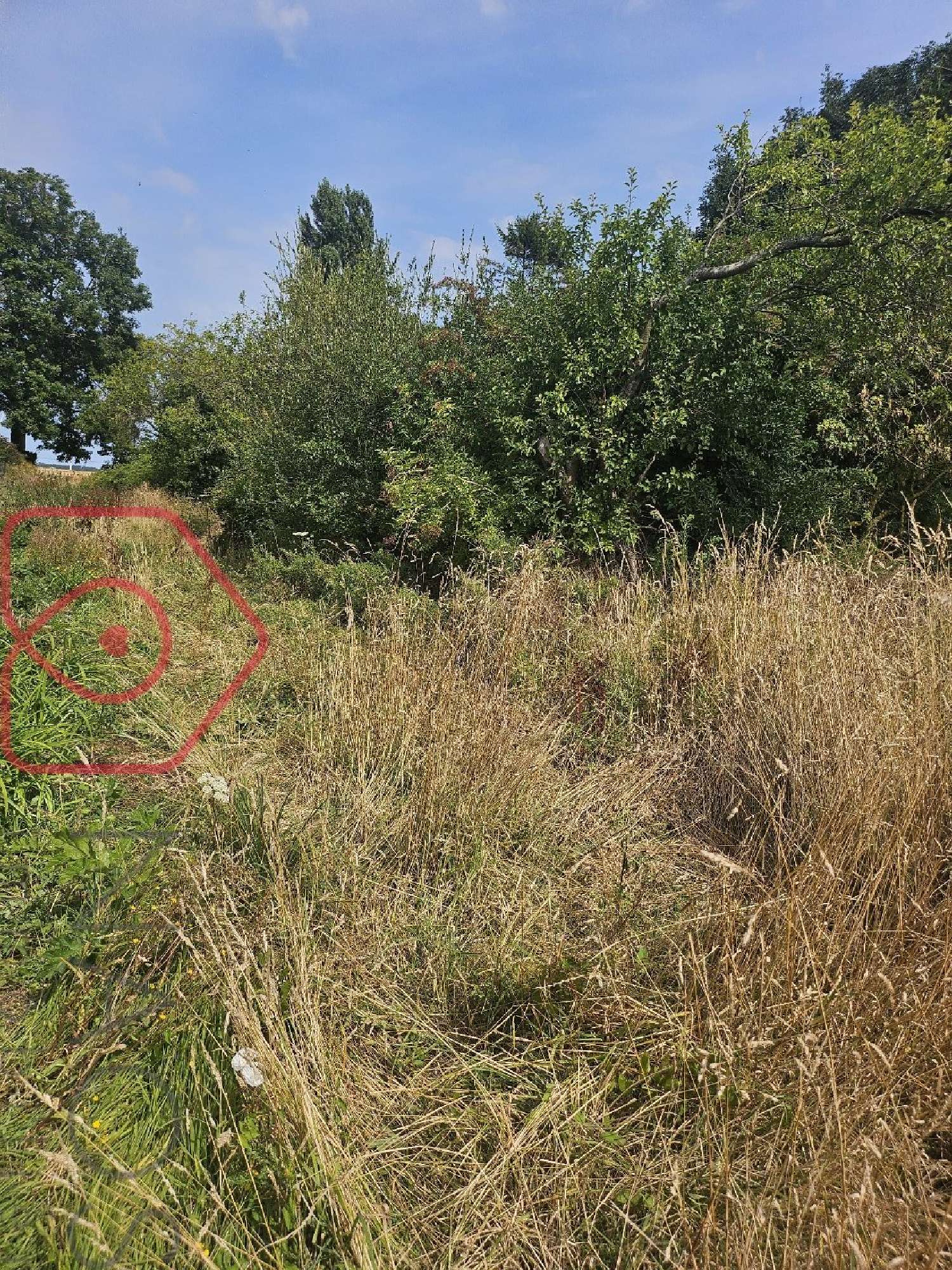 à vendre maison Criel-sur-Mer Seine-Maritime 2