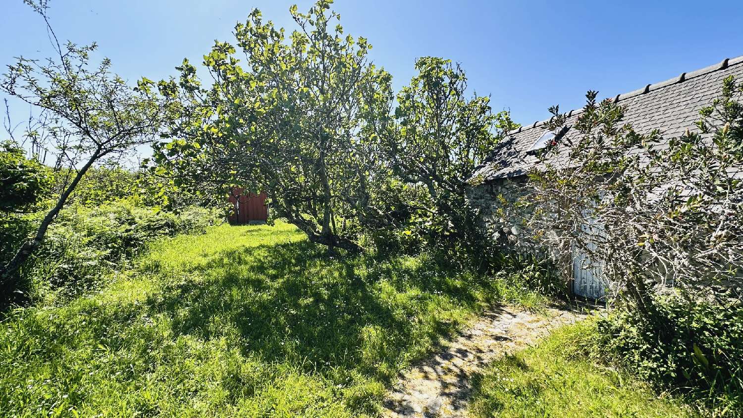 te koop huis Crozon Finistère 5