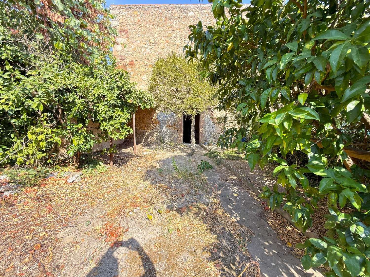  en venta casa Cruzy Hérault 3