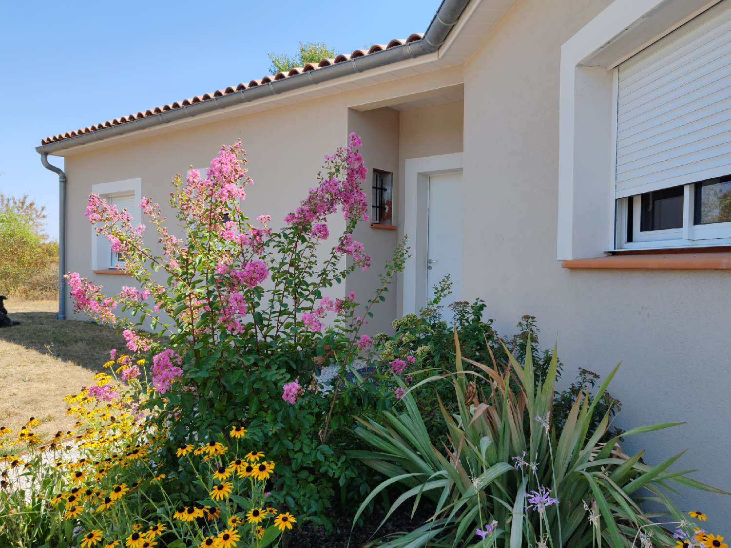 à vendre maison Damiatte Tarn 4