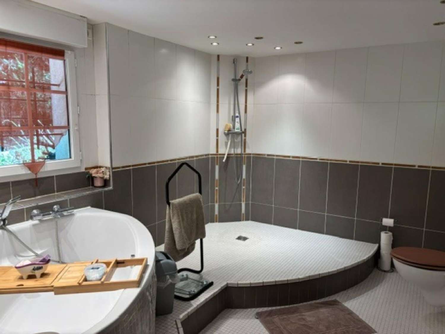 for sale house Dammartin-en-Goële Seine-et-Marne 4