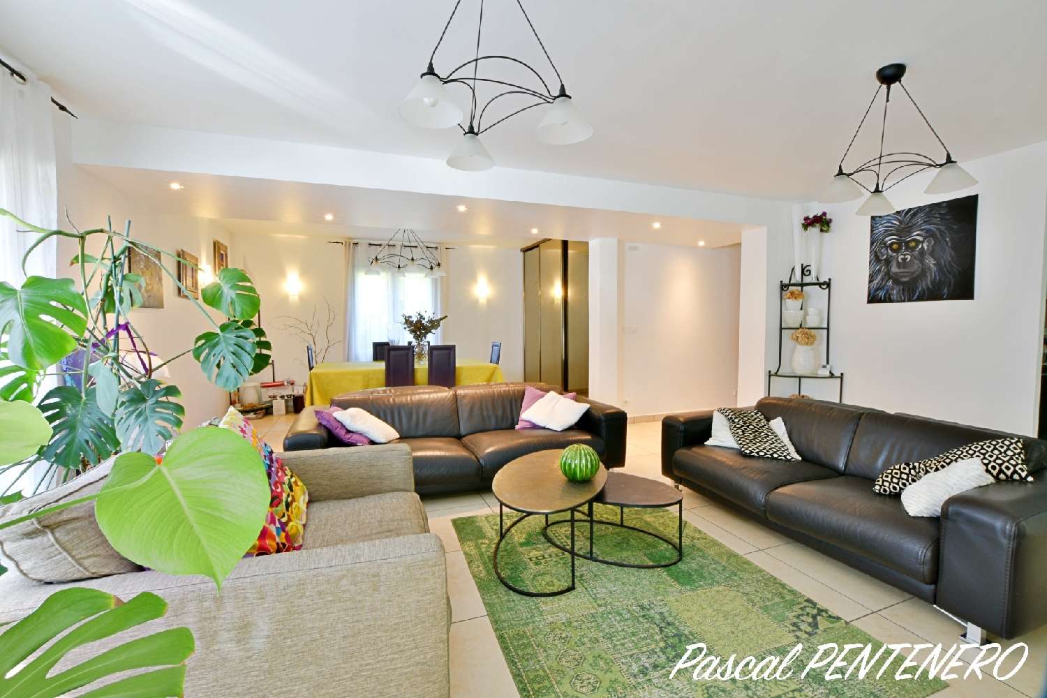  à vendre maison Décines-Charpieu Rhône 2