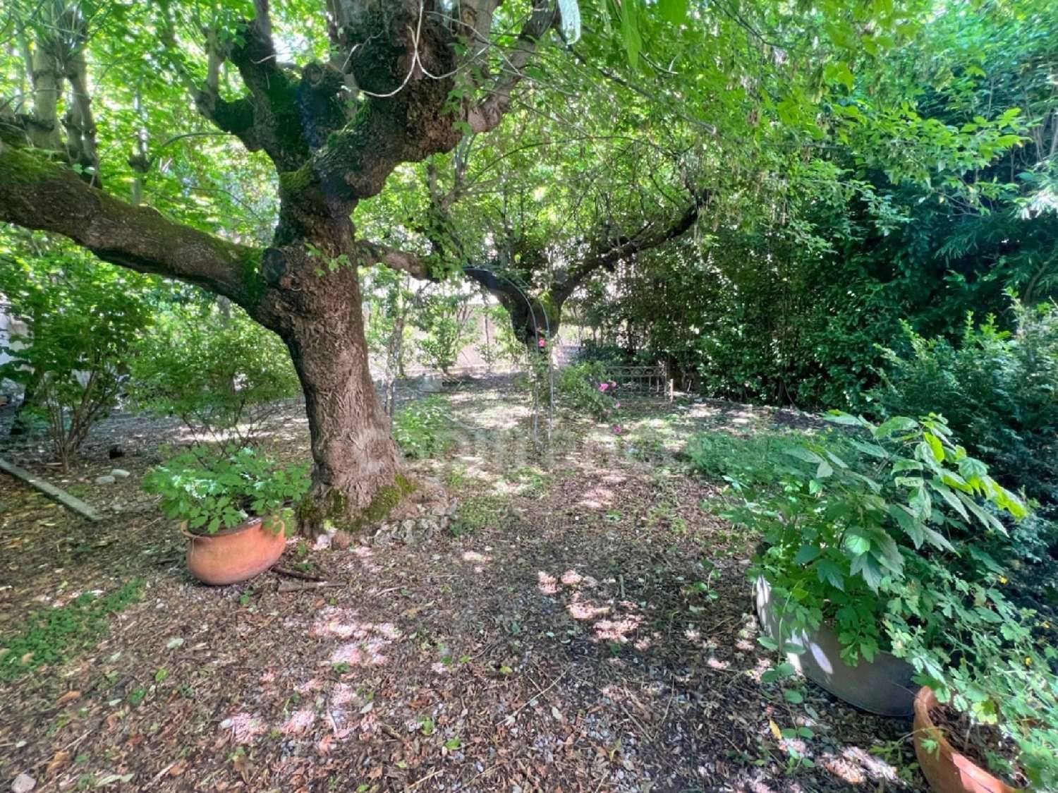  for sale house Digne-Les-Bains Alpes-de-Haute-Provence 3