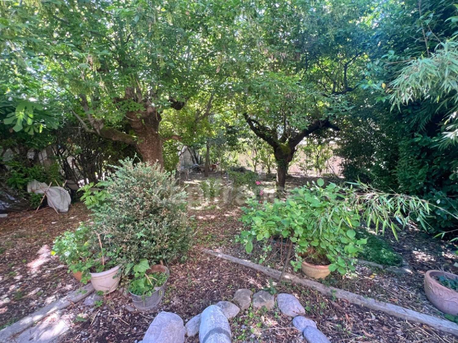  for sale house Digne-Les-Bains Alpes-de-Haute-Provence 4