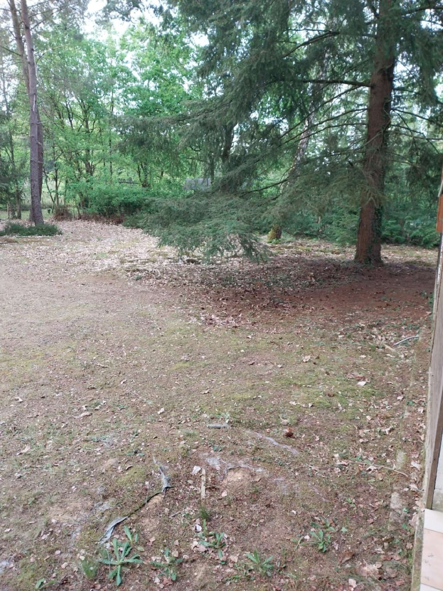 for sale house Dollon Sarthe 3