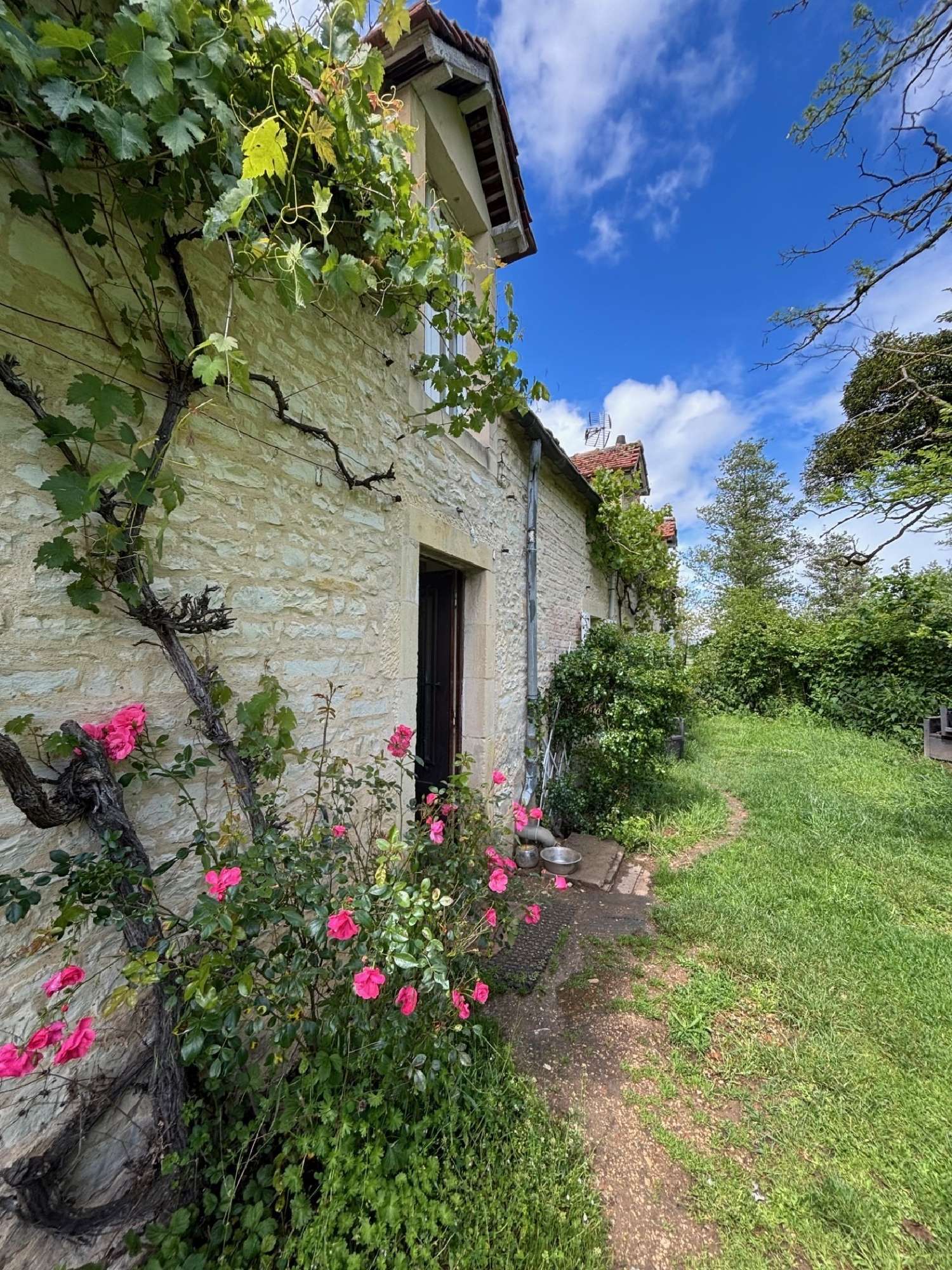 à vendre maison Dun-sur-Auron Cher 1