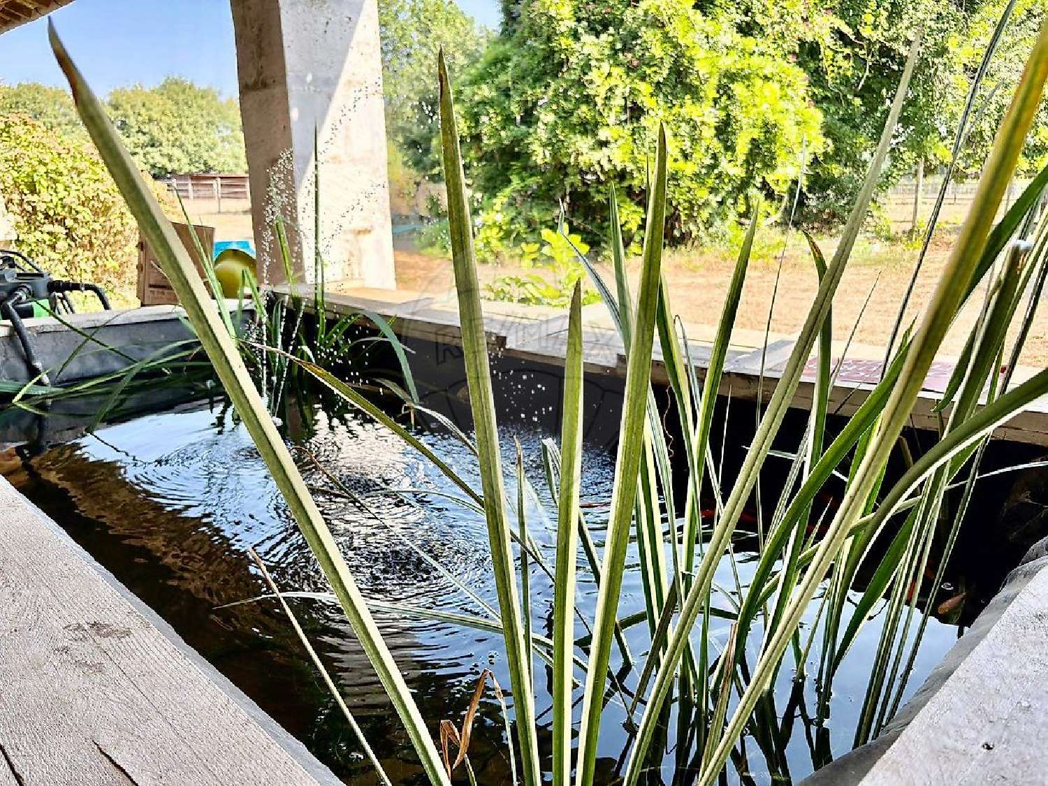 à vendre maison Écurat Charente-Maritime 4
