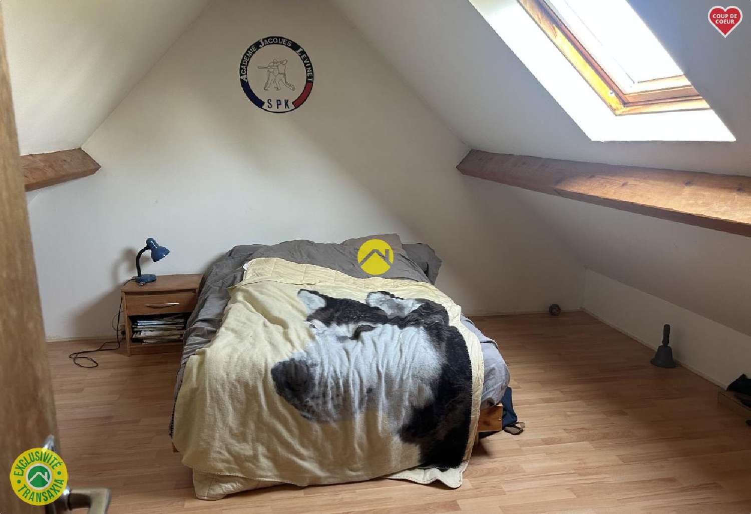  à vendre maison Égriselles-le-Bocage Yonne 5