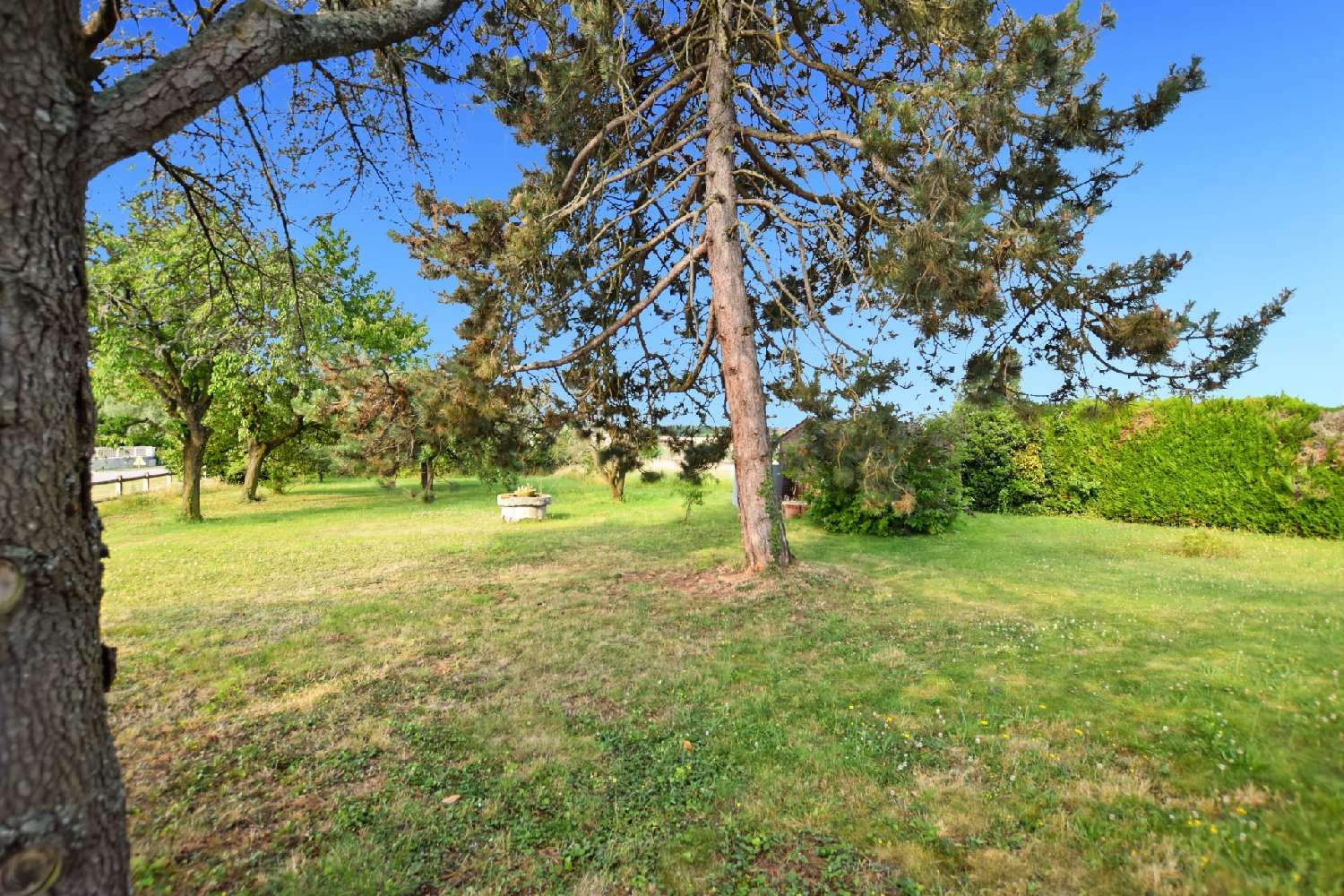 en venta casa Farges-lès-Chalon Saône-et-Loire 8