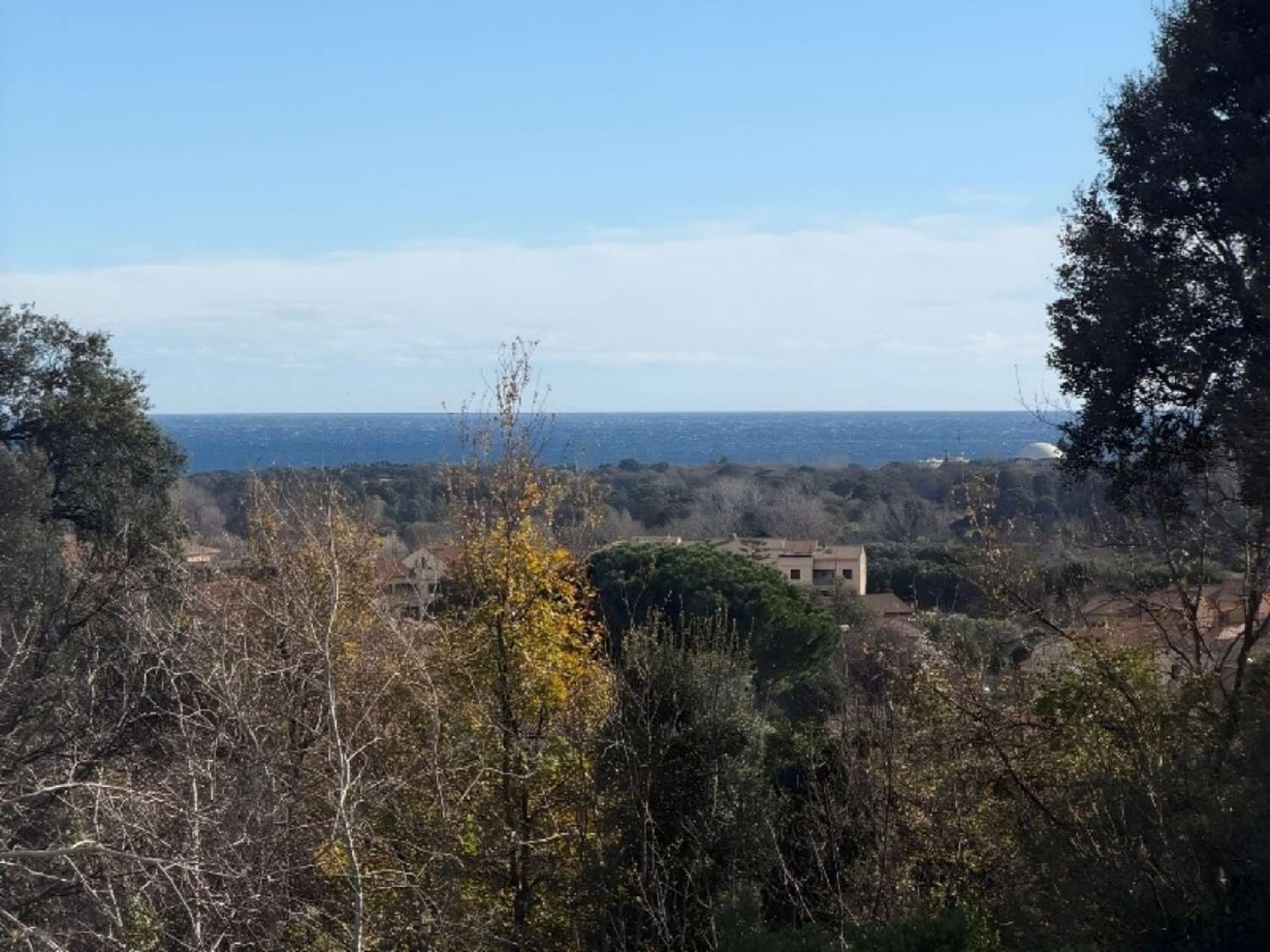 kaufen Haus Folelli Haute-Corse 4