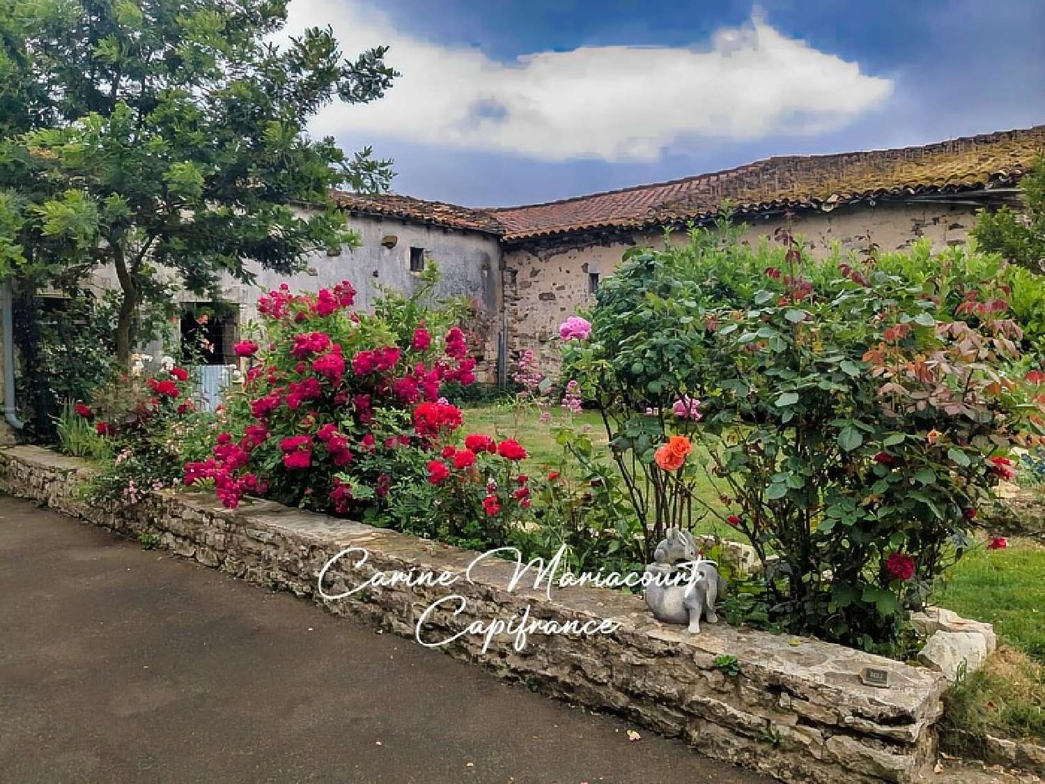  à vendre maison Fomperron Deux-Sèvres 3