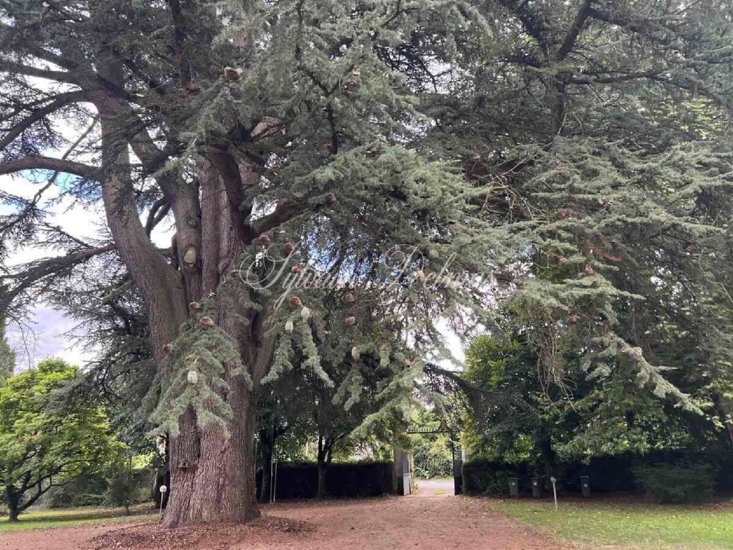 te koop huis Fondettes Indre-et-Loire 3