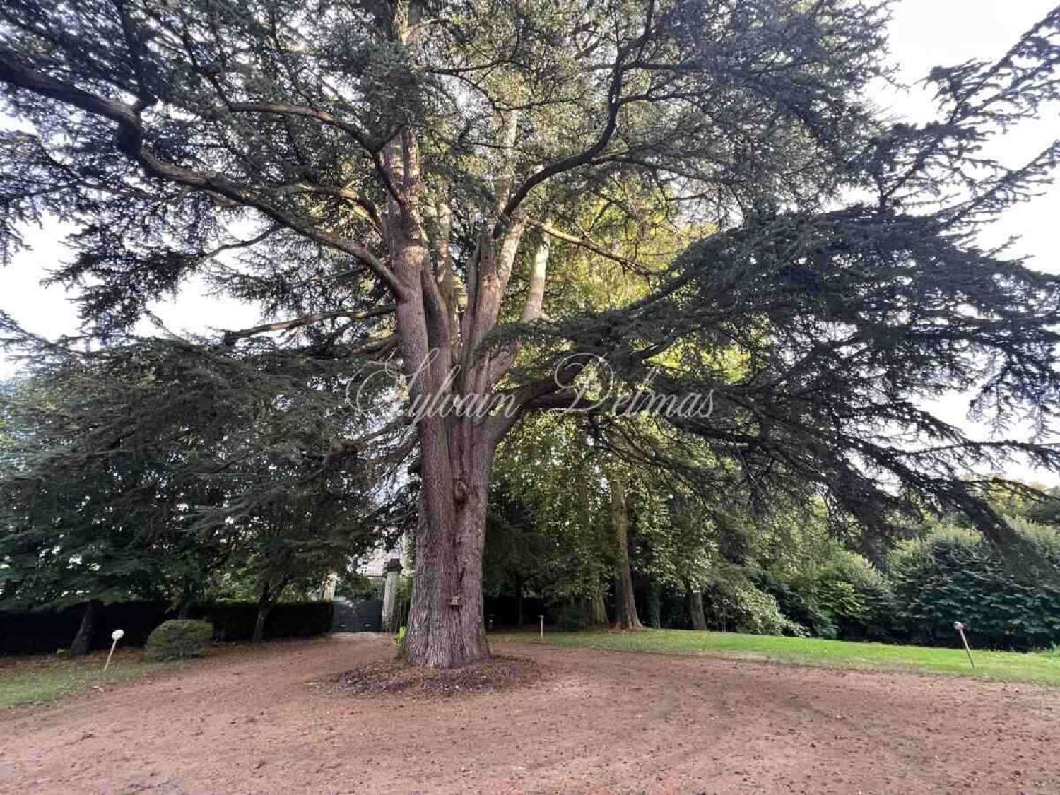 te koop huis Fondettes Indre-et-Loire 6