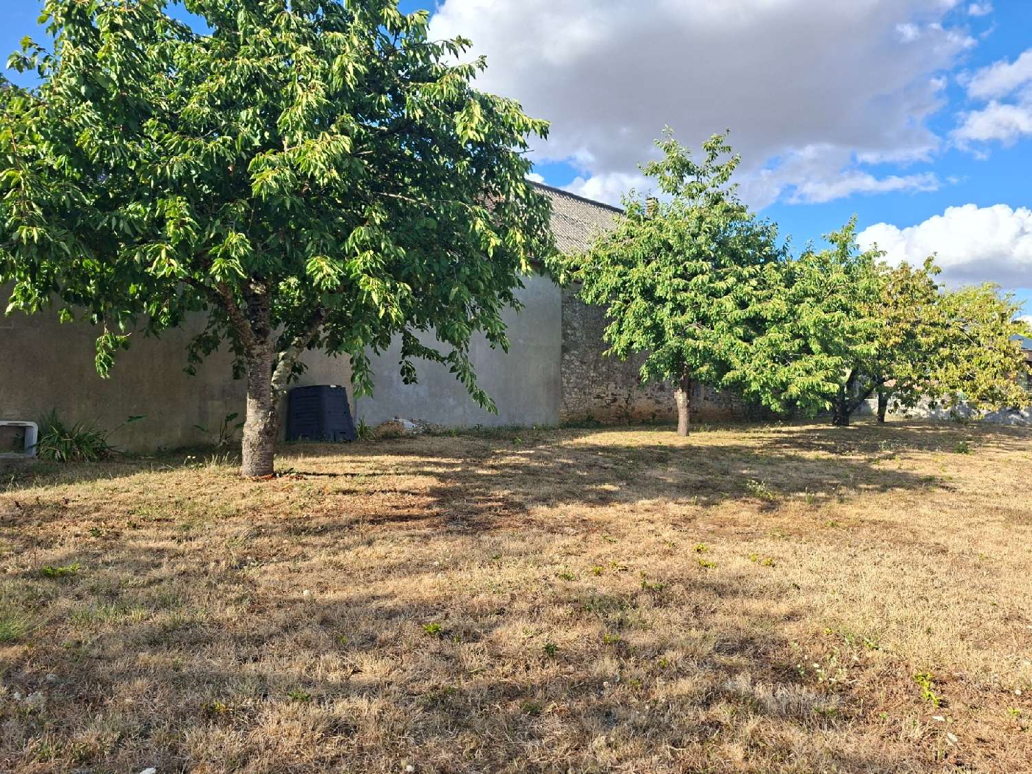 for sale house Fresnay-sur-Sarthe Sarthe 4