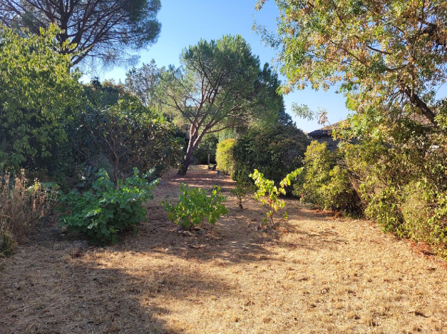  te koop huis Gabian Hérault 3