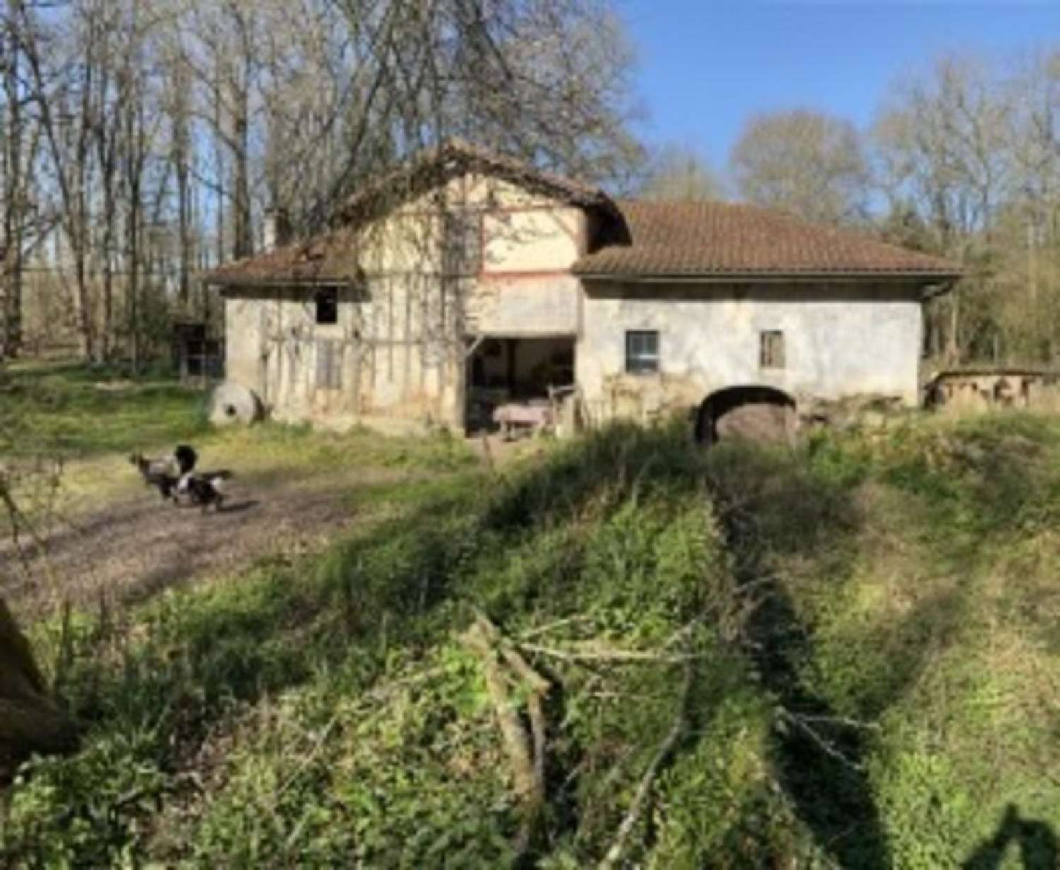 kaufen Haus Gaujacq Landes 1
