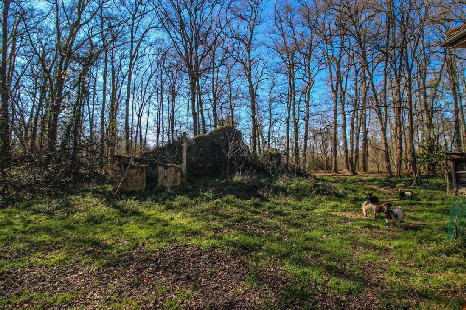 kaufen Haus Gaujacq Landes 7