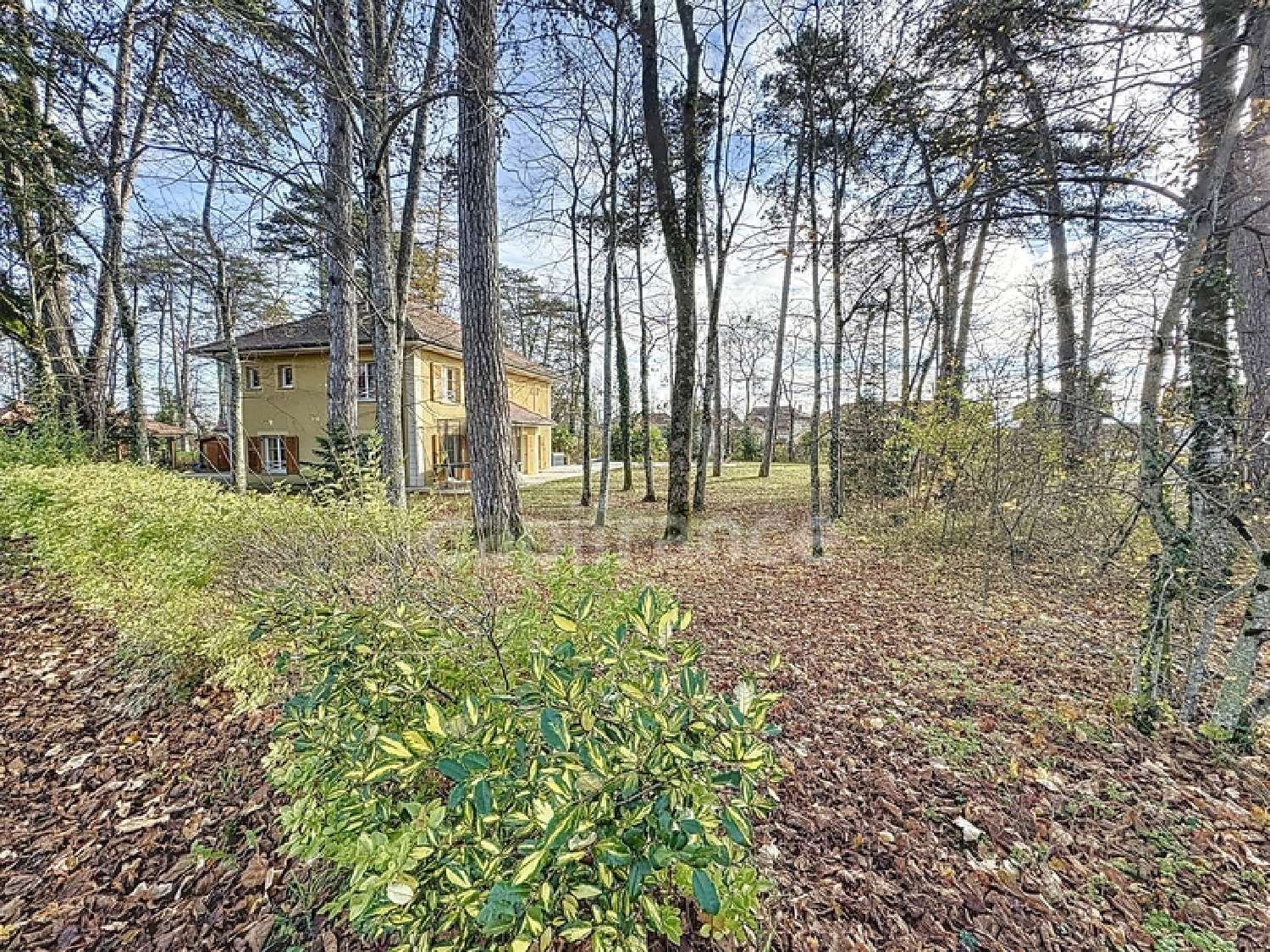 for sale house Gex Ain 4