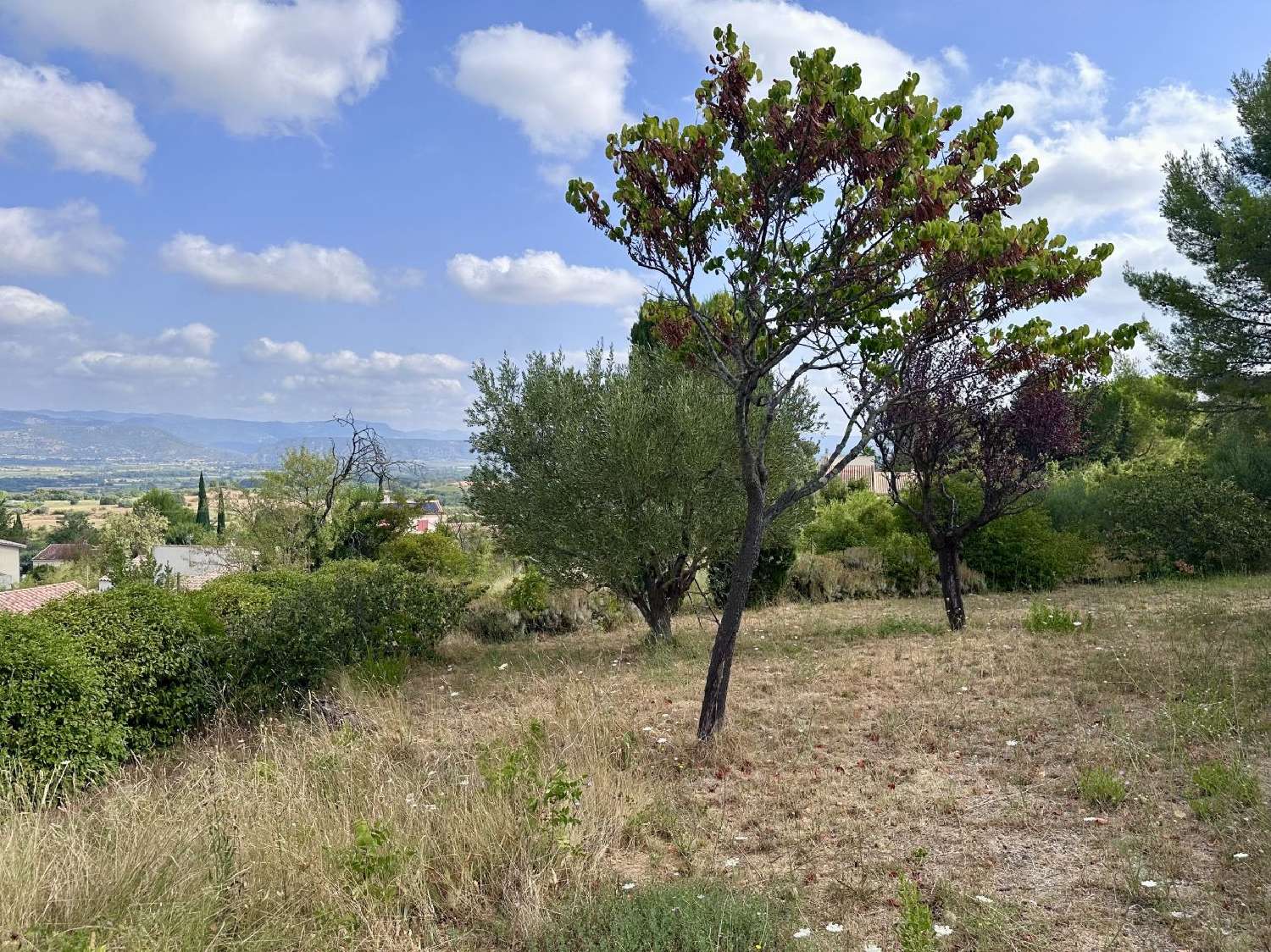 for sale house Gignac Hérault 3