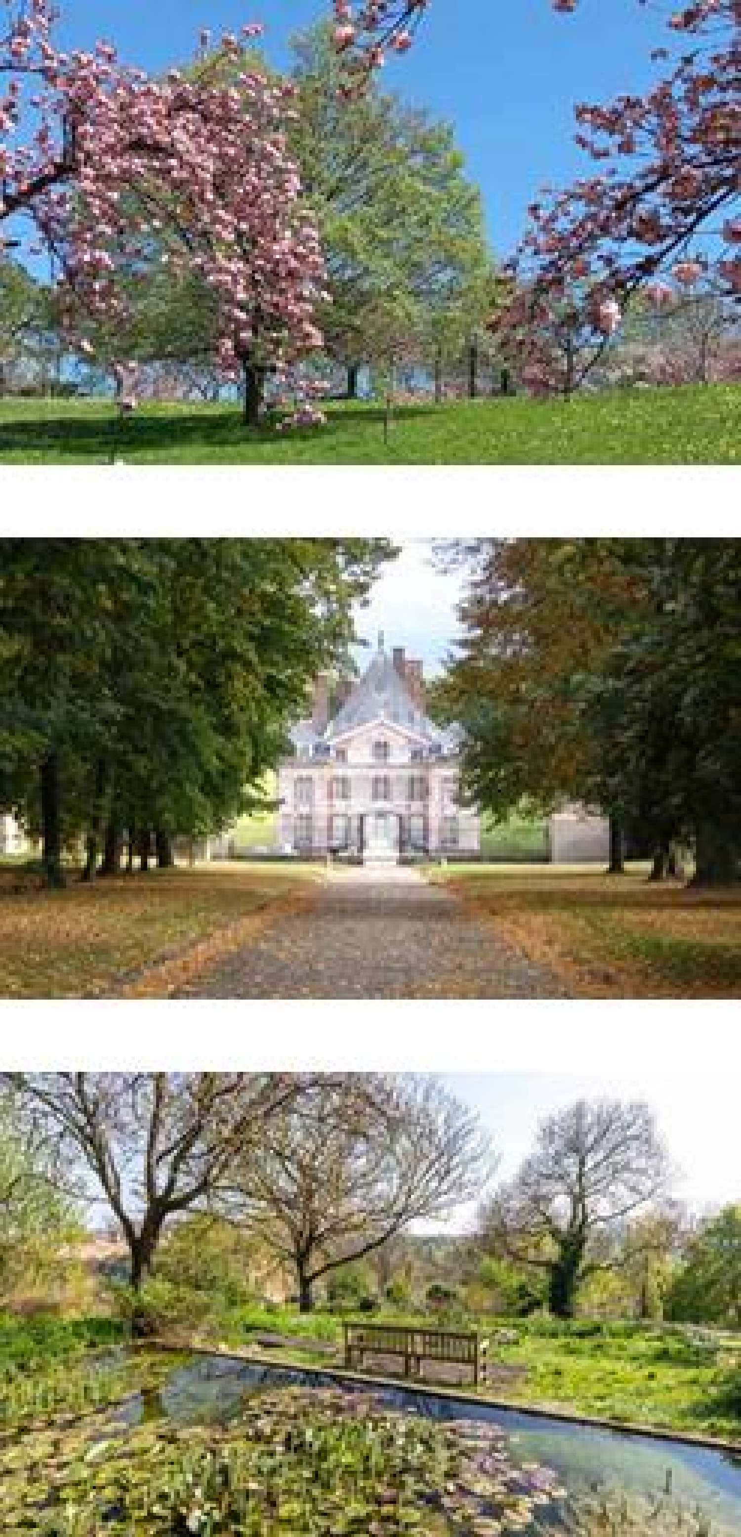  te koop huis Givors Rhône 6