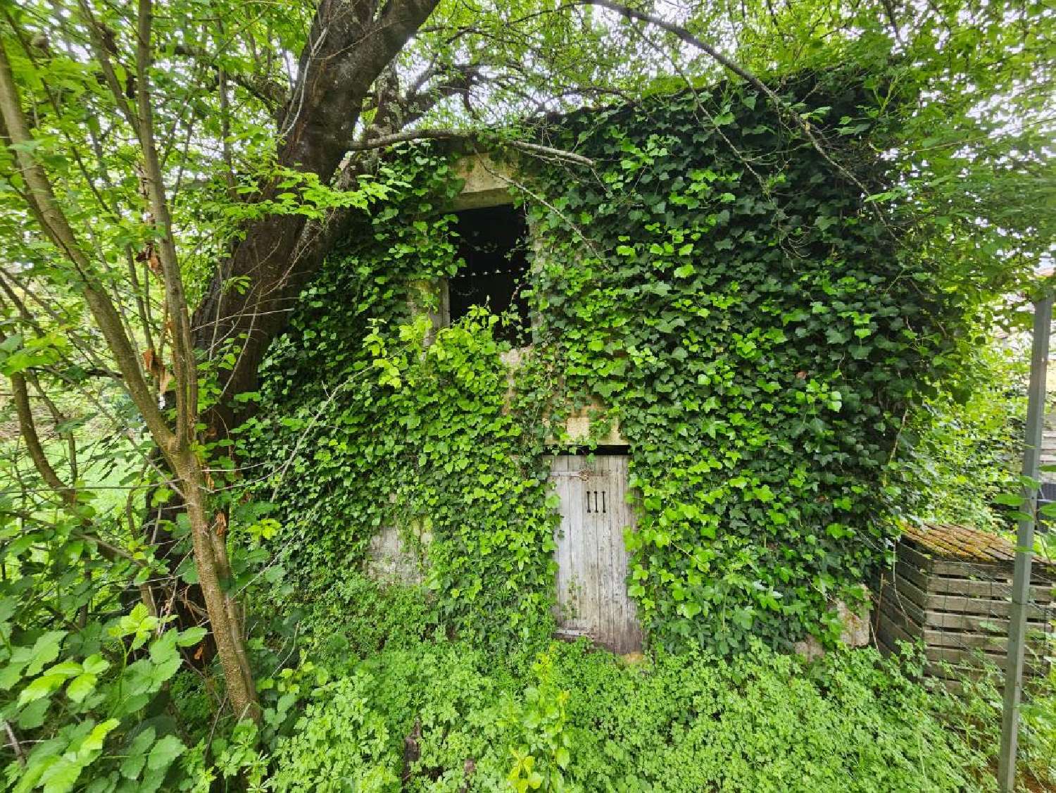 te koop huis Gond-Pontouvre Charente 3