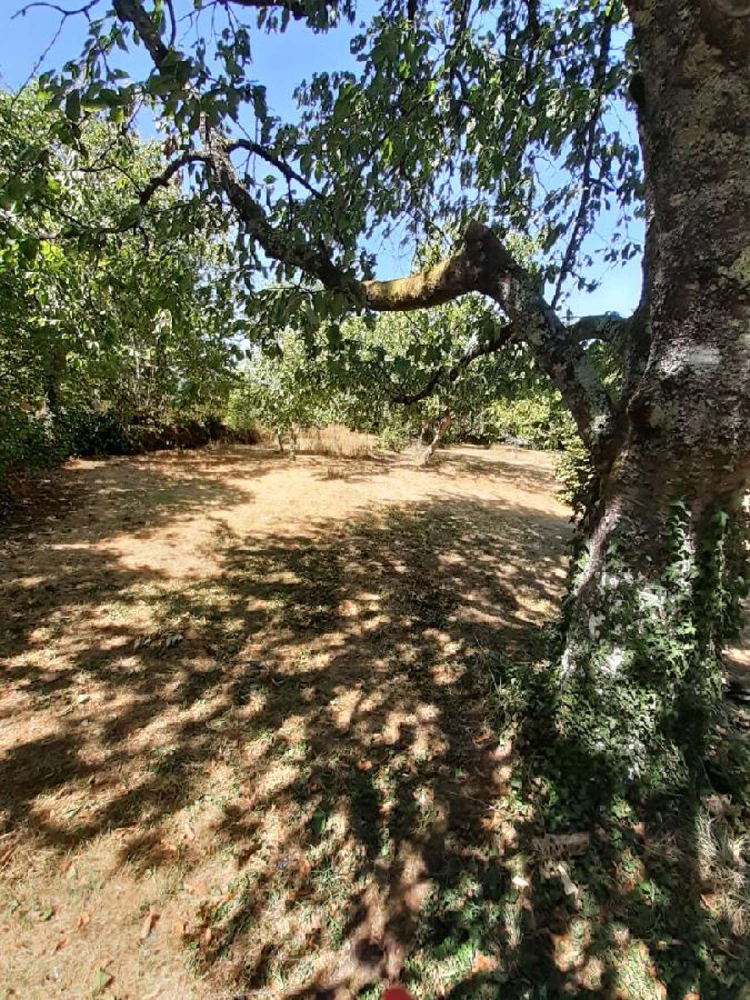 te koop huis Gorre Haute-Vienne 4