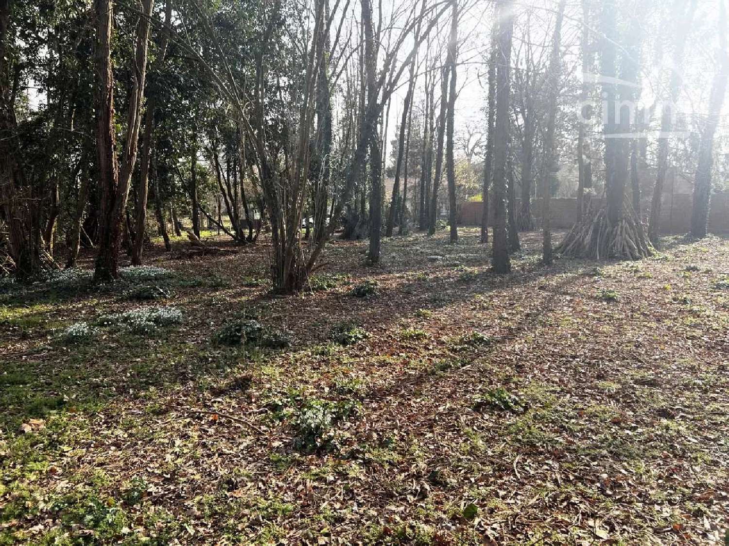 à vendre maison Isles-les-Meldeuses Seine-et-Marne 1