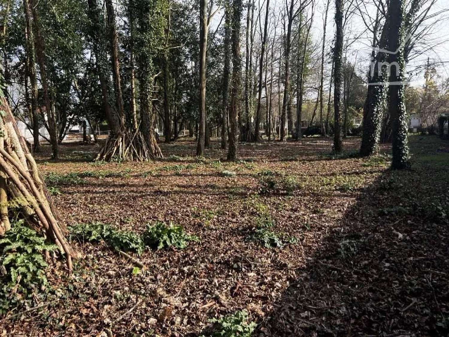 à vendre maison Isles-les-Meldeuses Seine-et-Marne 3