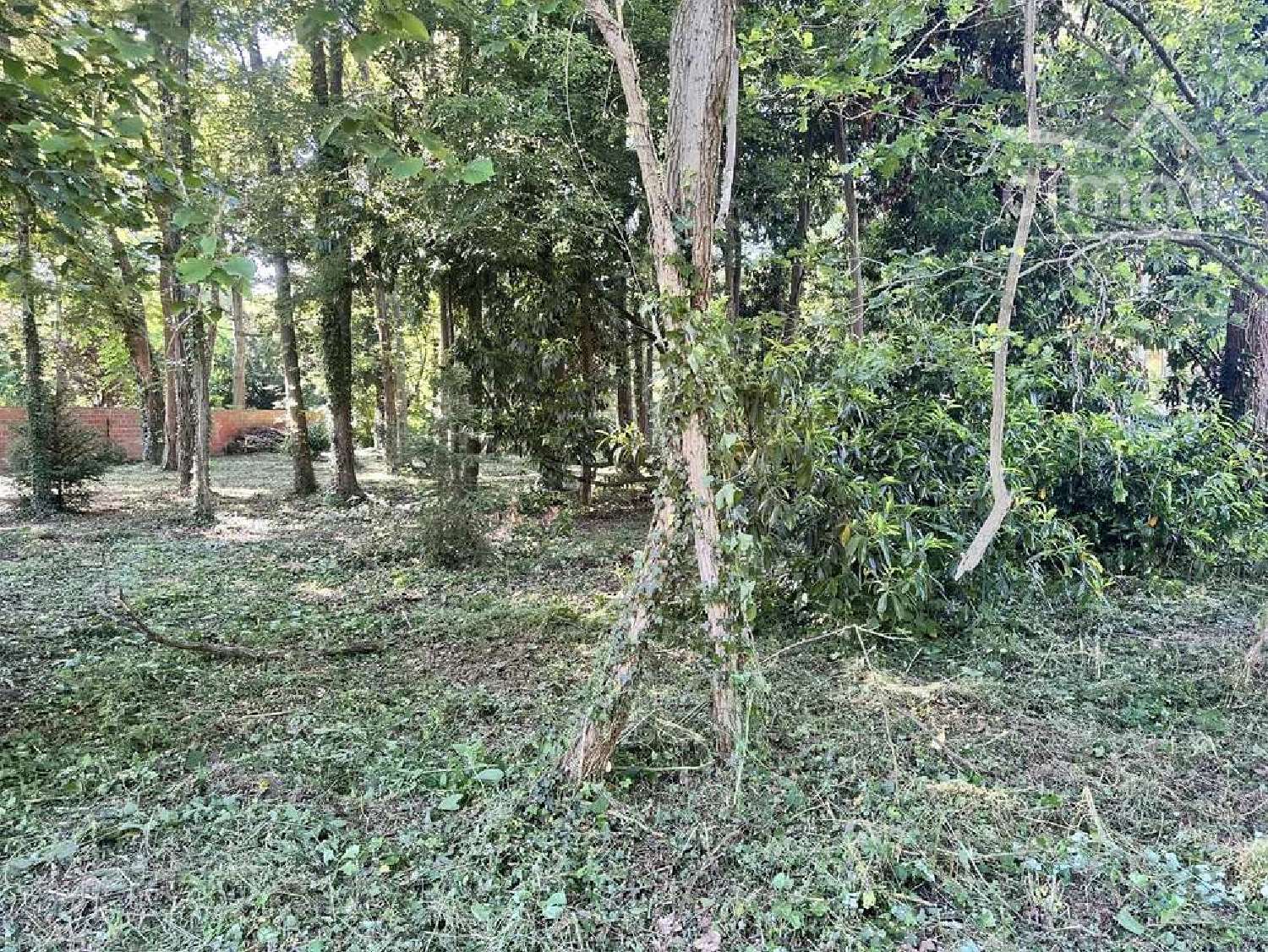 à vendre maison Isles-les-Meldeuses Seine-et-Marne 6