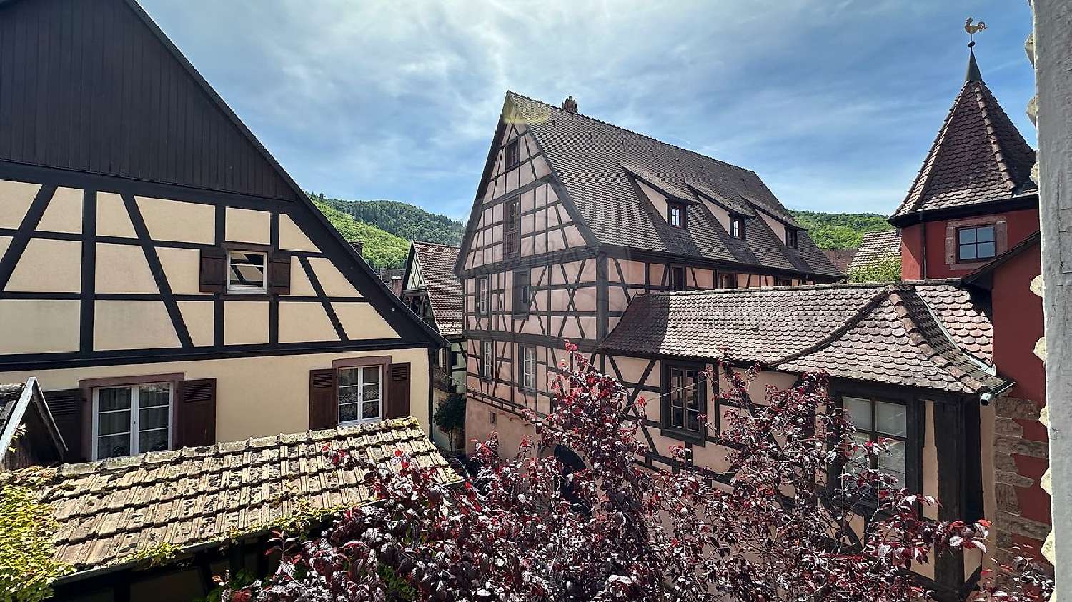  kaufen Haus Kaysersberg Haut-Rhin 3