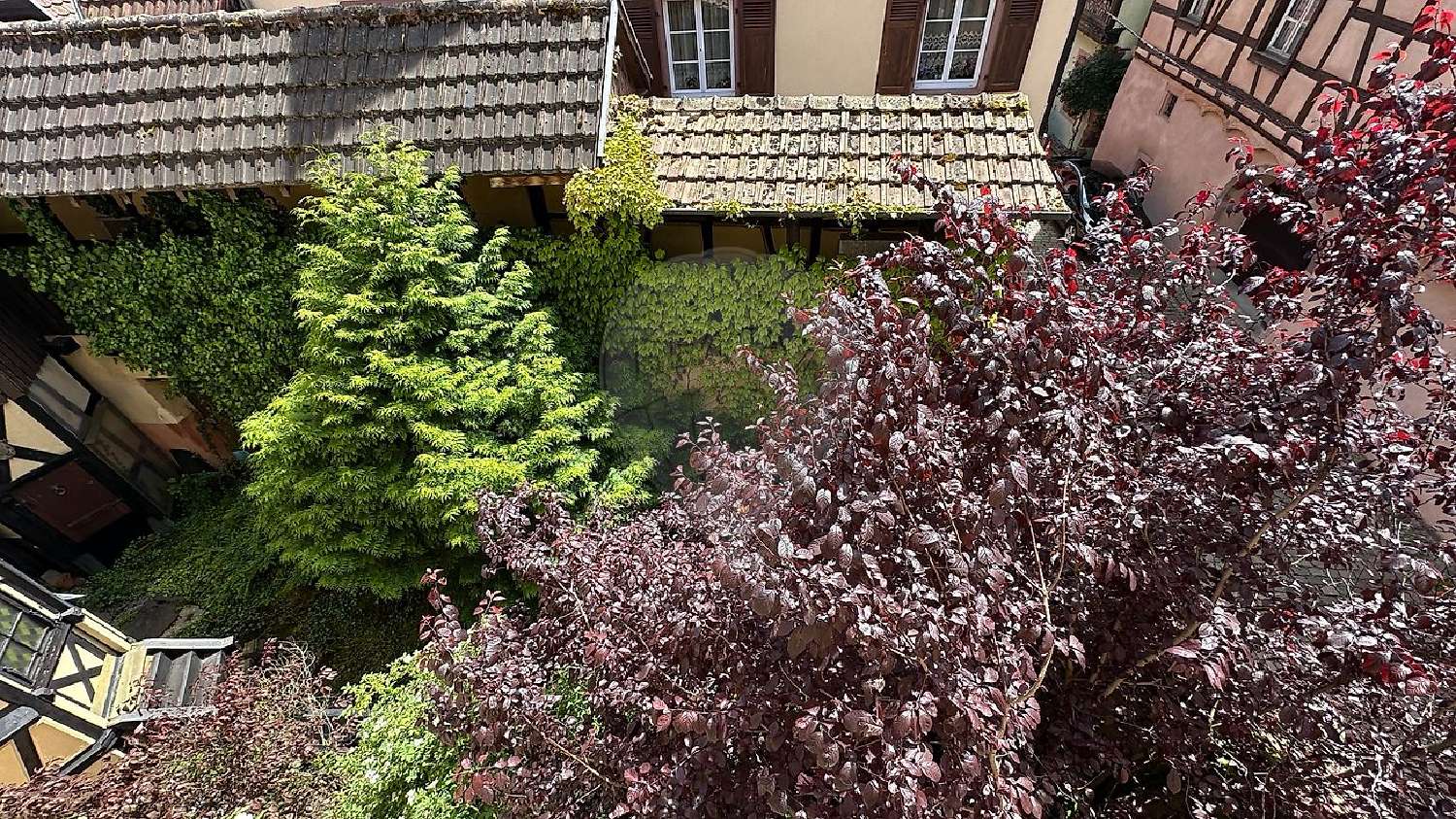  kaufen Haus Kaysersberg Haut-Rhin 5