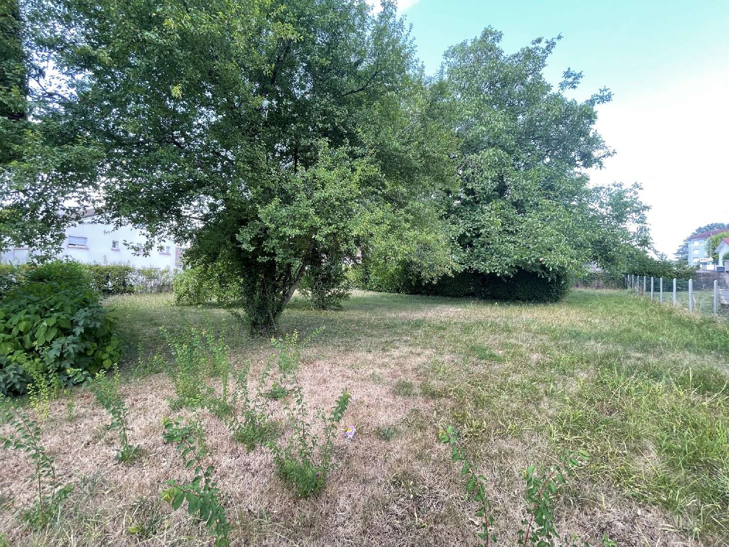 à vendre maison L'Isle-sur-le-Doubs Doubs 5