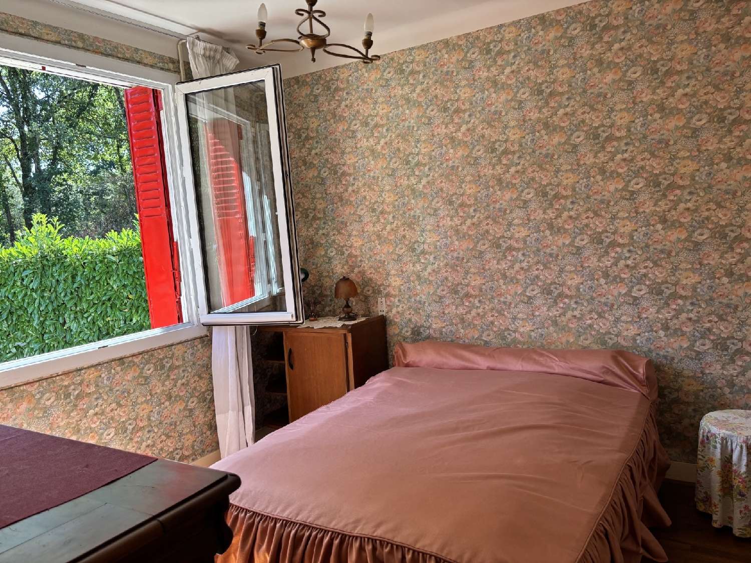 for sale house La Chapelle-des-Marais Loire-Atlantique 5