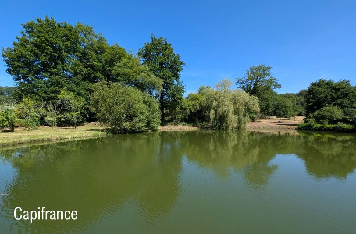 te koop huis La Gacilly Morbihan 5