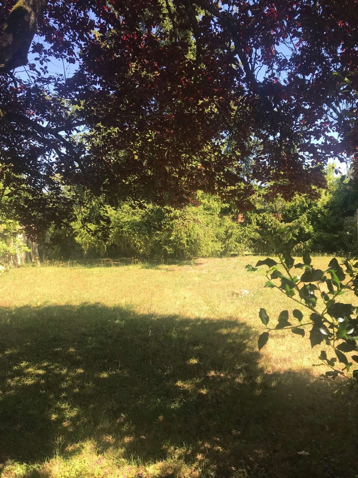  for sale house La Guerche-sur-l'Aubois Cher 2