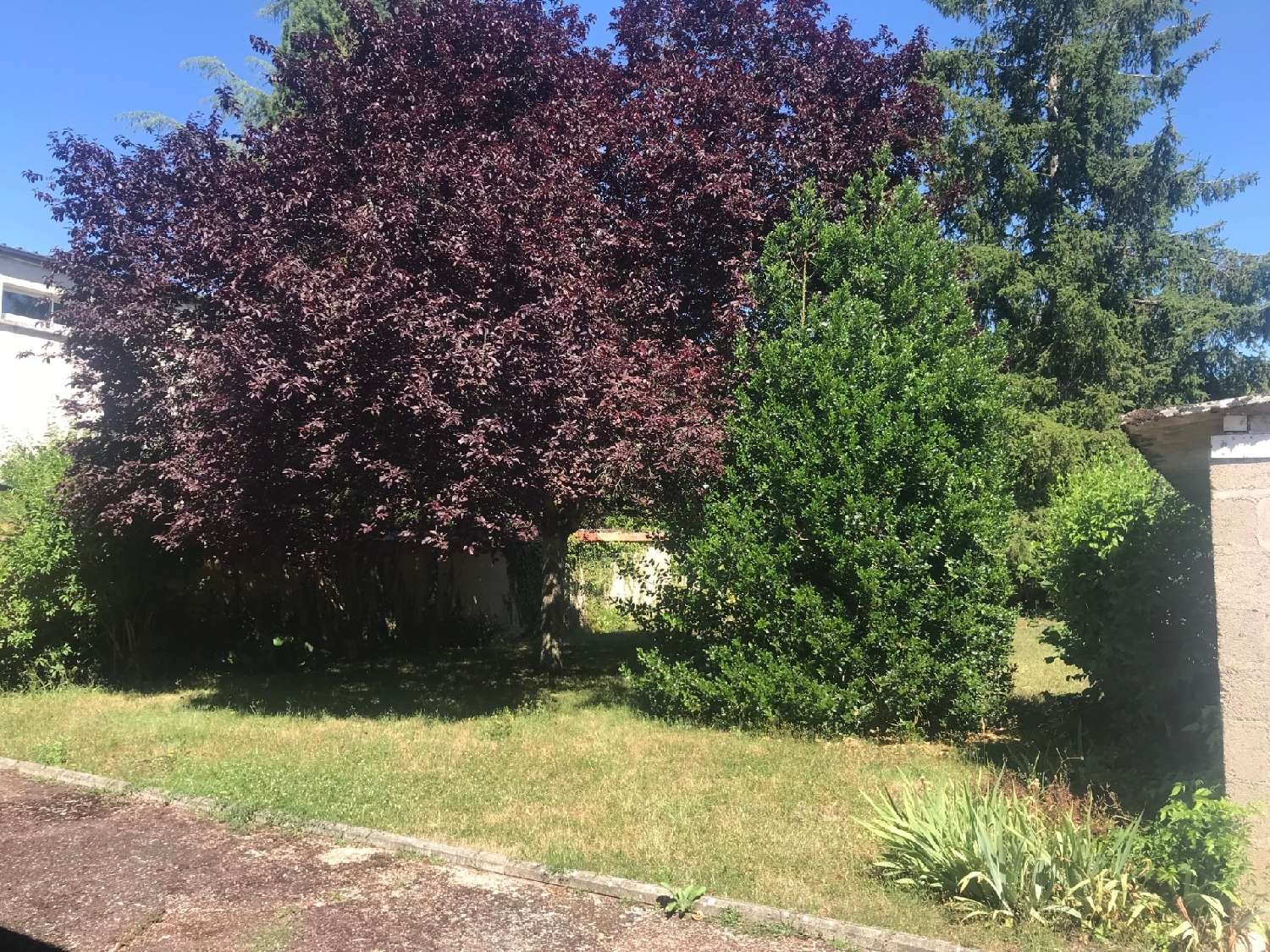  for sale house La Guerche-sur-l'Aubois Cher 3