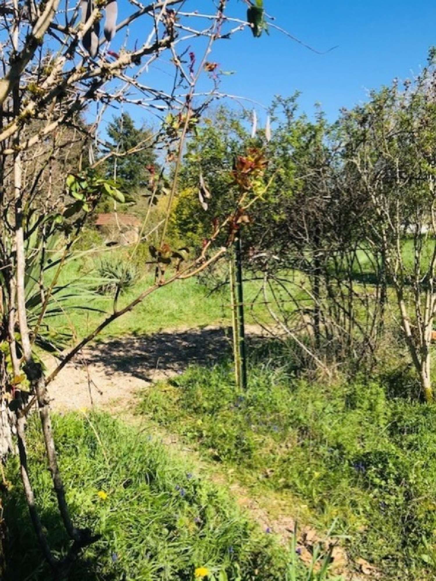en venta casa La Guerche-sur-l'Aubois Cher 7