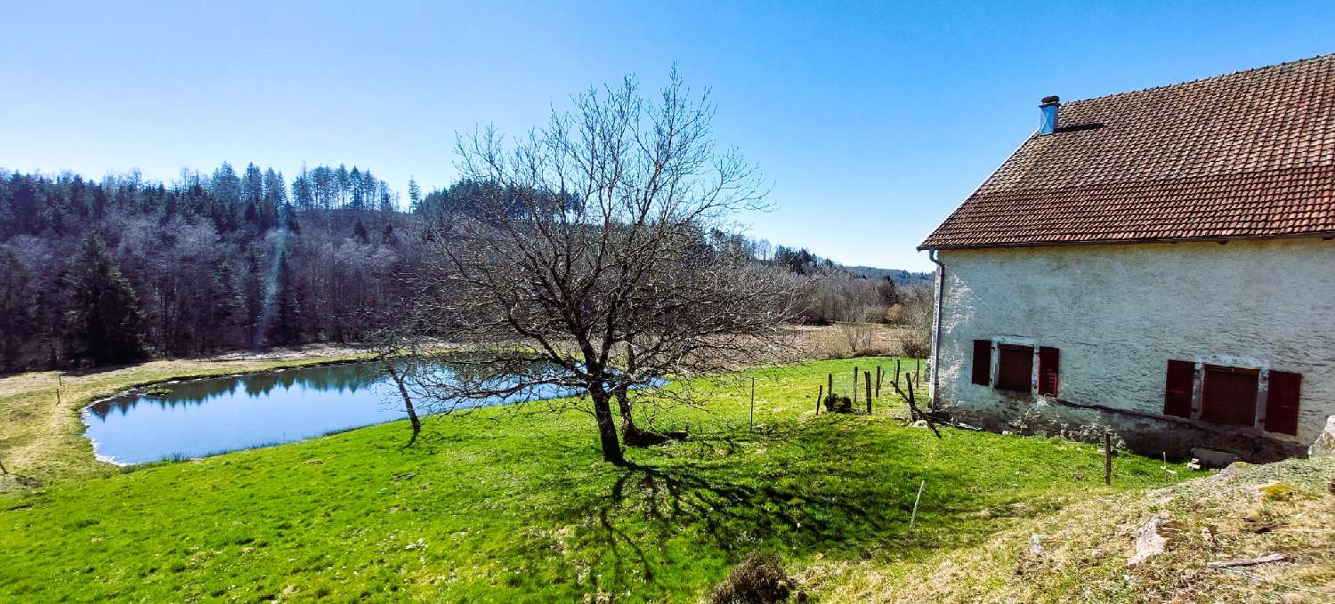for sale house La Longine Haute-Saône 6