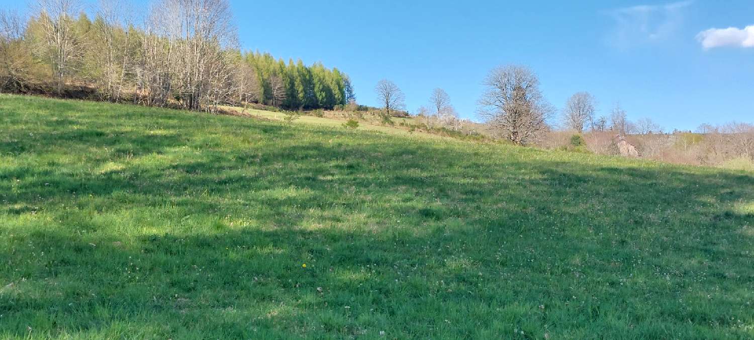 for sale house La Longine Haute-Saône 7
