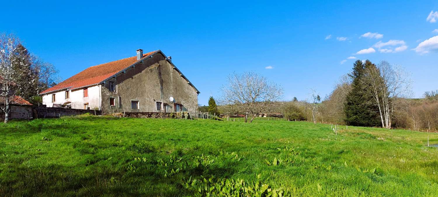 for sale house La Longine Haute-Saône 8