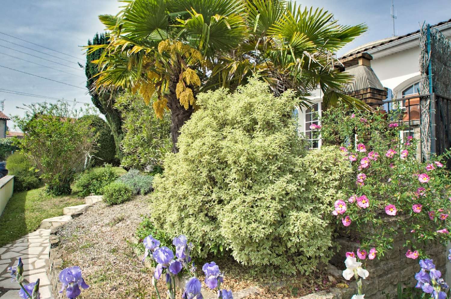 à vendre maison La Rochelle Charente-Maritime 7