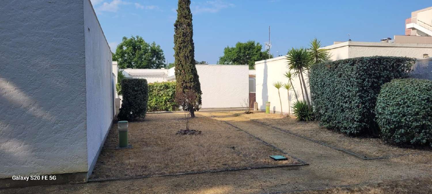  en venta casa La Teste-de-Buch Gironde 3
