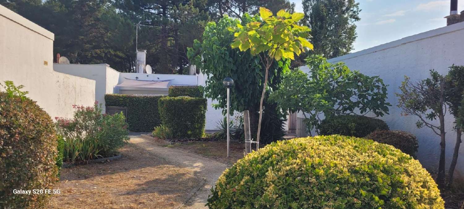  en venta casa La Teste-de-Buch Gironde 4